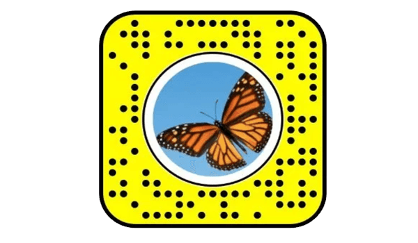 Snapchat par Butterflies lens kaise unlock kare